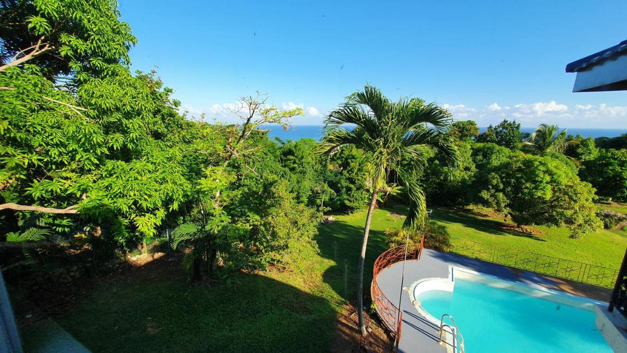 Villa Dianna - Entire Villa, Roof Terrace, Pool, Garden, Sea Views Near Dunn'S River Очо-Ріос Екстер'єр фото